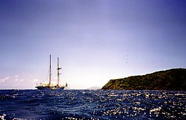 Snorkelling at Vanua Levu